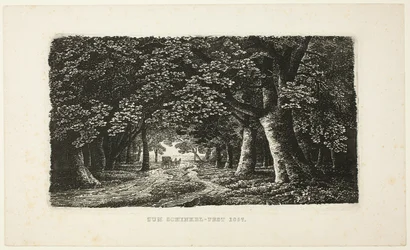Waldweg mit Kutsche