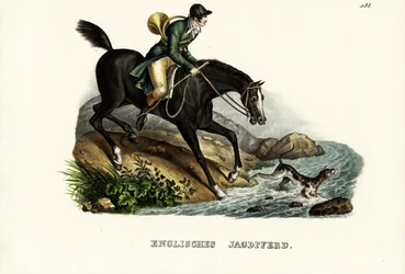 Englisches Jagdpferd, 1824