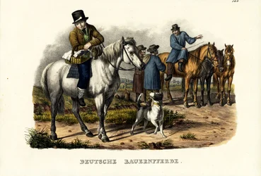 Deutsche Bauernpferde, 1824