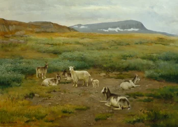 Ziegen auf der Wiese
