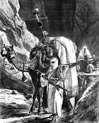 Köpfe der Rebellen
