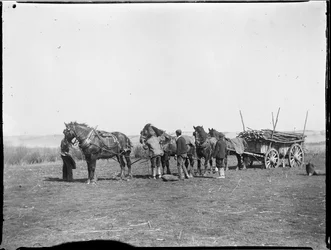 Broomfield, Broomfield und Kingswood, Maidstone, Kent, 06.04.1904