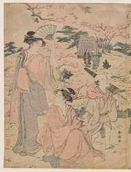 Frauen betrachten Kirschblüten in Asukayama