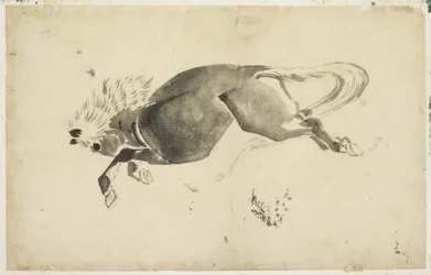 Laufendes Pferd