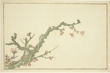 Blühender Pflaumenbaum, aus Das Bilderbuch der realistischen Gemälde von Hokusai (Hokusai shashin gafu)