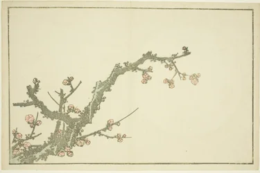Blühender Pflaumenbaum, aus Das Bilderbuch der realistischen Malereien von Hokusai