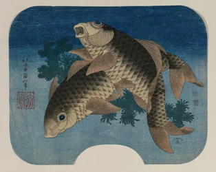 Karpfen schwimmen bei Wasserpflanzen, 1831