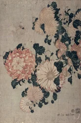Chrysanthemen