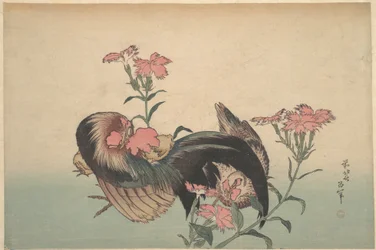 Hahn, Henne und Nadeshiko (Prachtnelke)