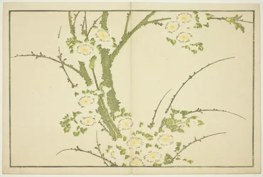 Blumen, aus Das Bilderbuch der realistischen Gemälde von Hokusai
