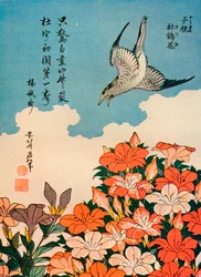 Hototogisu satsuki Kuckuck und Azalee, ca. 1828, 1936