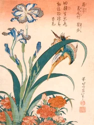 Eisvogel, Schwertlilien und Nelken, veröffentlicht ca. 1834