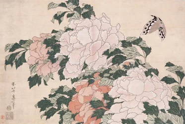 Rosa und Rote Pfingstrosen, vom Wind nach links geblasen und ein Schmetterling