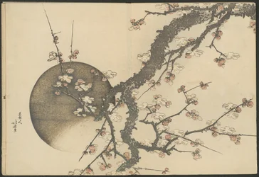Pflaumenblüte und der Mond aus dem Buch Berg Fuji im Frühling (Haru no Fuji)