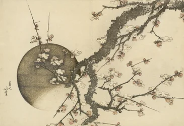 Pflaumenblüte und der Mond aus dem Buch Der Fuji im Frühling