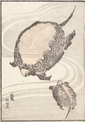 Sayama-ga-ike Teich in der Provinz Musashi