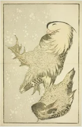 Zwei Wasservögel, aus dem Bilderbuch der realistischen Malereien von Hokusai (Hokusai shashin gafu)