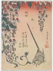 Bachstelze und Glyzinie, Edo-Periode, 1834
