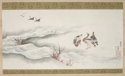 Wildgänse und Wasser