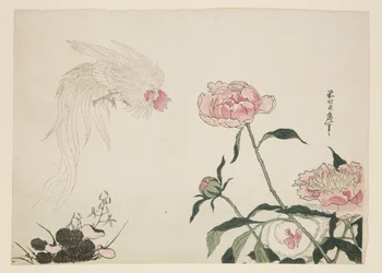Langschwanzhähne zwischen Blumen