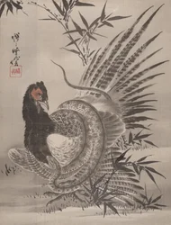 Fasan von einer Schlange gefangen, ca. 1887