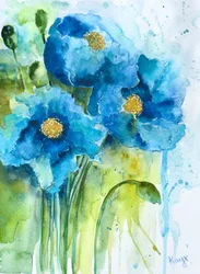 Blaue Aquarell-Mohnblumen