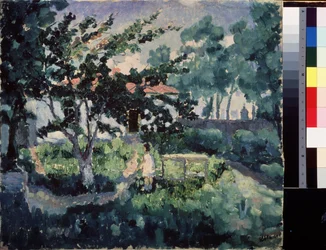 Sommerlandschaft