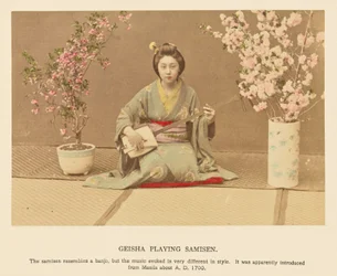 Geisha spielt Samisen