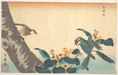Vögel und Blumen