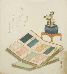 Musterbücher mit Brokatdesigns