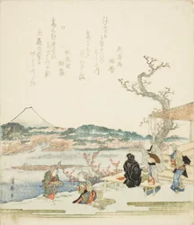 Blick auf den Berg Fuji von einem Teehaus