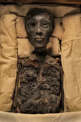 Mumie von König Tut, 18. Dynastie; Neues Reich; das Ägyptische Museum; Kairo; Ägypten, 2005 (Foto)