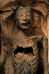Mumie der Mutter von König Tutanchamun (bekannt als die Jüngere Dame)