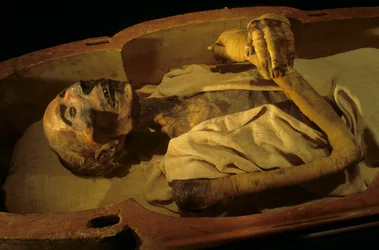 Mumie von Ramses II.