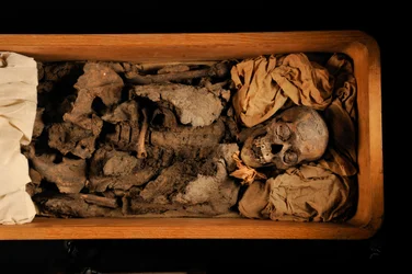 Tutanchamun; 18. Dynastie; Neues Reich; das Ägyptische Museum; Kairo; DNA; Probe, 2005 (Foto)