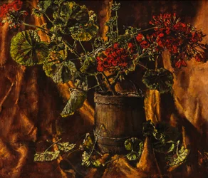 Stillleben mit Begonien
