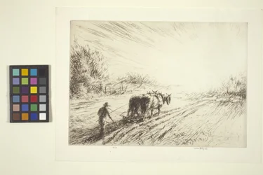 Frühes Pflügen (Frühling)