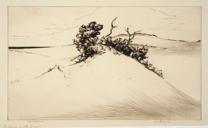 Schatten auf den Dünen
