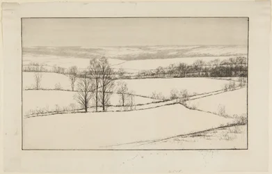 Schneefelder
