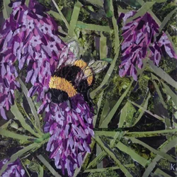 Summen - Hummel auf Lavendel