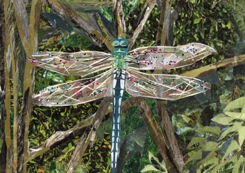 Türkise Libelle