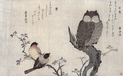 Eine Eule und zwei östliche Gimpel, aus einem Album 