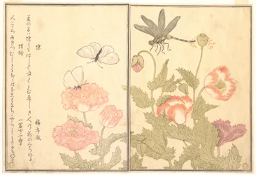 Schmetterling (Chō); Libelle (Kagerō oder Tonbo), aus dem Bilderbuch der kriechenden Kreaturen (Ehon mushi erami)