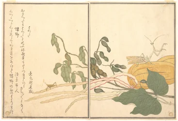 Kegelschrecke oder Heuschrecke (batta); Gottesanbeterin (Tōrō oder Kamakiri), aus dem Bilderbuch der kriechenden Kreaturen (Ehon mushi erami)
