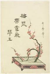 Ikebana-Arrangement mit einem Pflaumenzweig