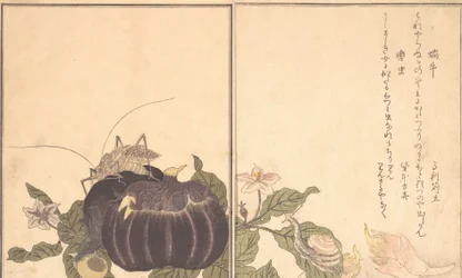 Landschnecke Katatsumuri, Riesenkäfer Kutsuwamushi, 1788