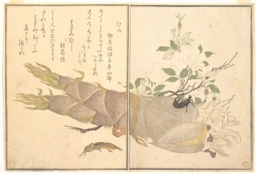 Maulwurfsgrille (Kera); Ohrwurm (Hasami-mushi), aus dem Bilderbuch der kriechenden Tiere (Ehon mushi erami)