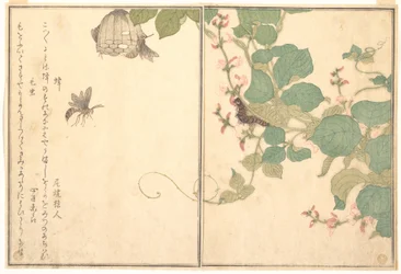 Papierwespe (Hachi); behaarte Raupe (Kemushi), aus dem Bilderbuch der kriechenden Kreaturen (Ehon mushi erami)