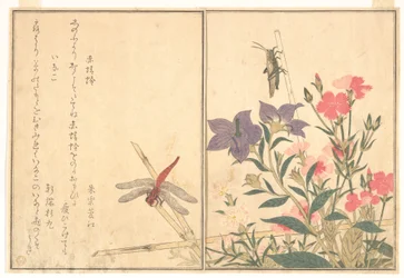 Rote Libelle (Akatonbo); Heuschrecke (Inago), aus dem Bilderbuch der kriechenden Geschöpfe (Ehon mushi erami)