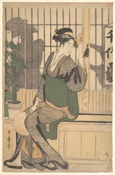 Schatten auf den Shōji